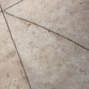 Meet your Posher, Abel